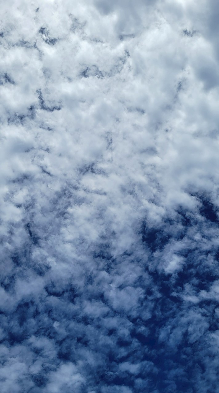 #動漫#頭像#桌布#情頭#閨蜜頭像