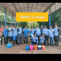 ปศุสัตว์  ต.โพธิ์ทอง