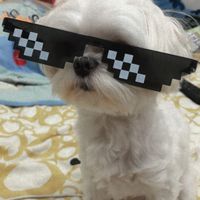 豆腐