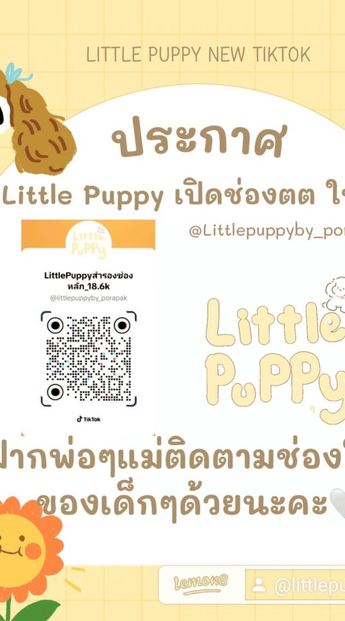 Little Puppy หาบ้านให้เด็กน้อย🏡🩷