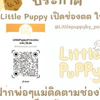 Little Puppy หาบ้านให้เด็กน้อย🏡🩷