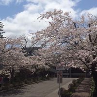 小樽商科大学オンラインキャンパス（非公式）