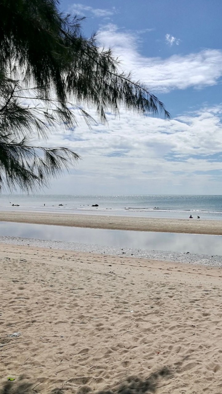 การถ่ายภาพ