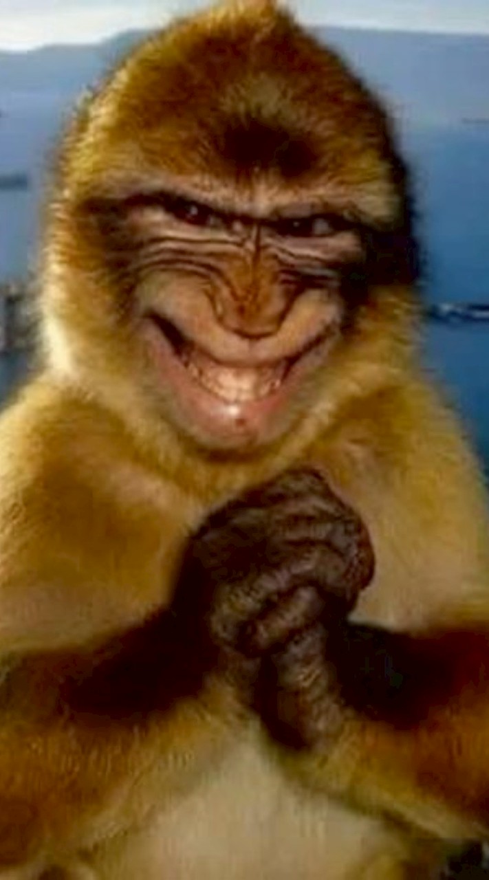 คุยเล่น / หาแฟนคนคุย/ด่ากันช