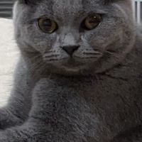 今生緣