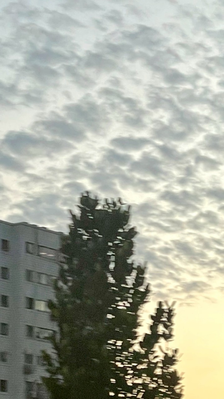 ☁️念雲風軟☁️