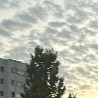 ☁️念雲風軟☁️