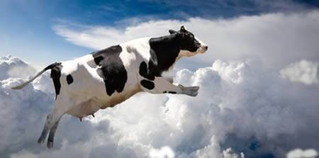Inilah 5 Benda Aneh Yang Jatuh Dari Langit, Ada Sapi Juga Lho!