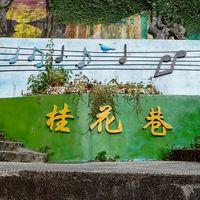 50+60+ 青蘋果樂園🍏