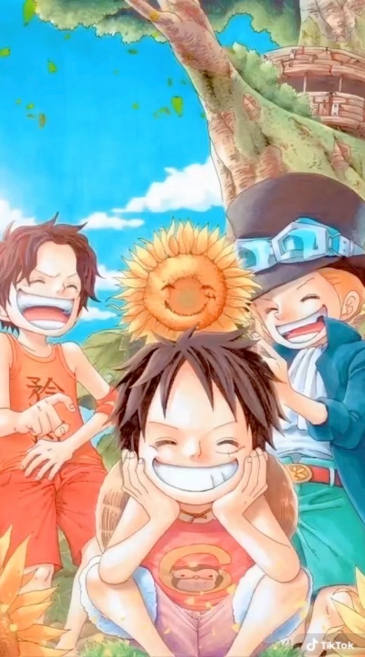 ワンピースが好きな人おいで！