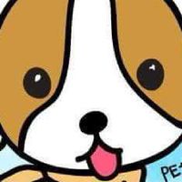 PETTOGO