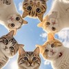 嘉 庭 室 按 摩🌟