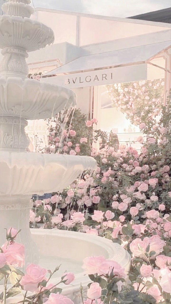🎀💒ตัวแทนขายแอคไอจี ติ๊กต็อก ต่างๆ