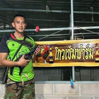 ไชยเวชฟาร์มเพชรบุรี(สายเลือดมังกร🐓💯🐲🐂)
