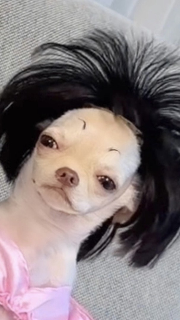 คลิปวีดีโอ สาขาวังทอง