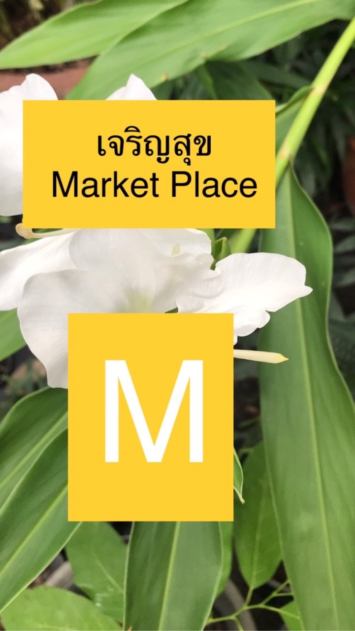 Test 3