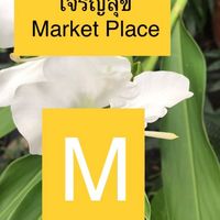 Test 3