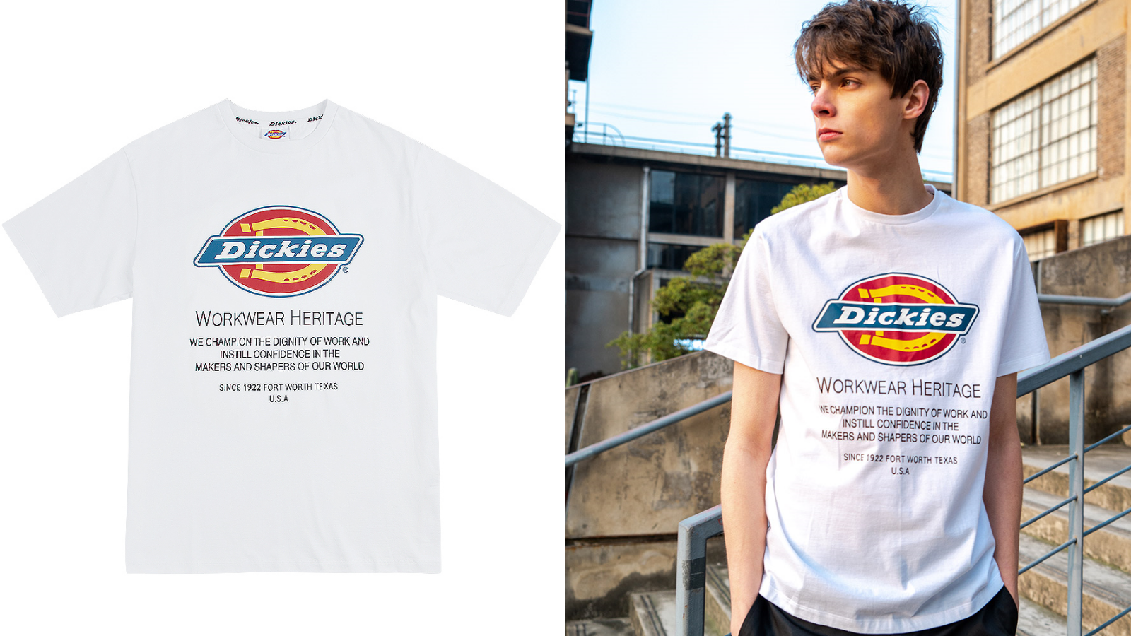 Dickies男款白色純棉經典品牌Logo短袖T恤