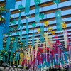 東海レブル (愛知*三重*岐阜*静岡)