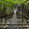 東海レブル (愛知*三重*岐阜*静岡)