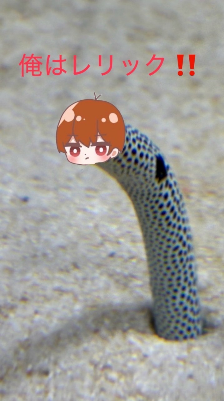 hbosコプター ミ○キーと素敵な仲間たち〜適度な焼肉を添えて〜