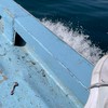 学生釣り広島