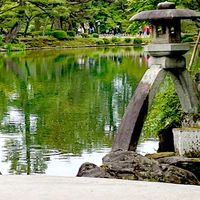 🌈まったり語らう、50代からの愉快な仲間たち🌸