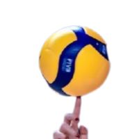 วอลเลย์บอลสีชมพู