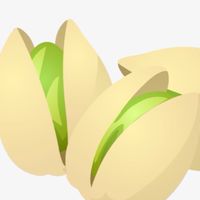 ピスタチオ好き大集合