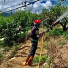 🇹🇼 台灣工作機會🇹🇼งานไต้หวันสายตรง