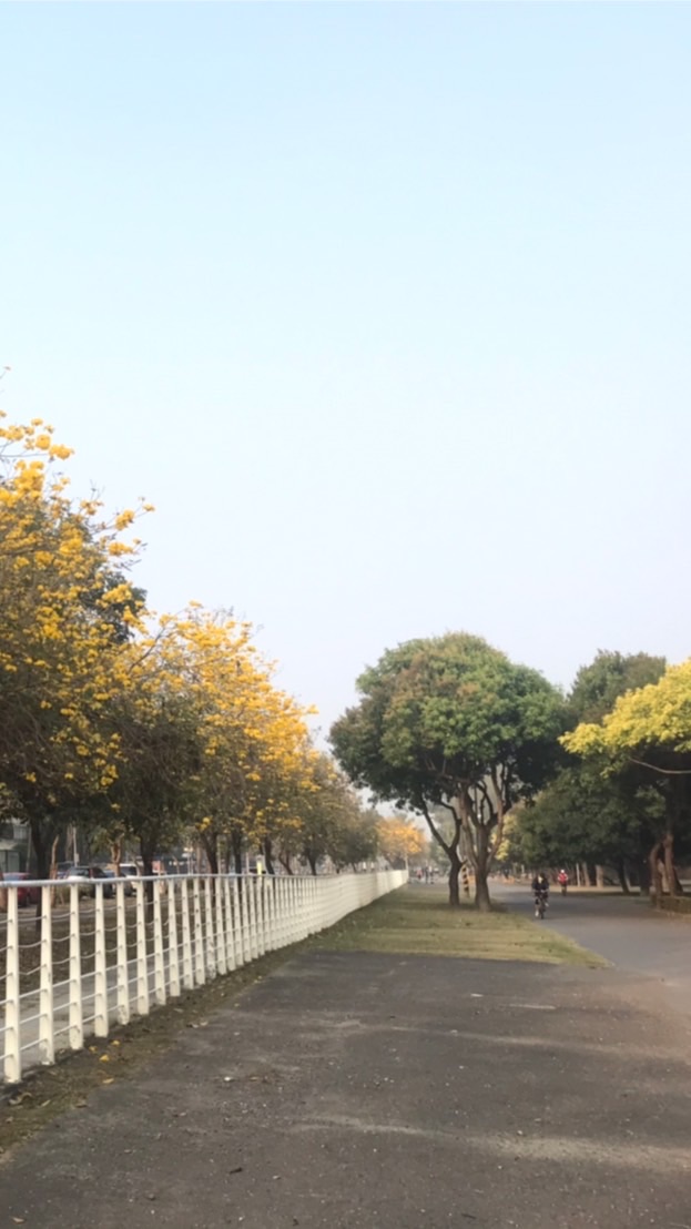 鳳山區深夜守護天使