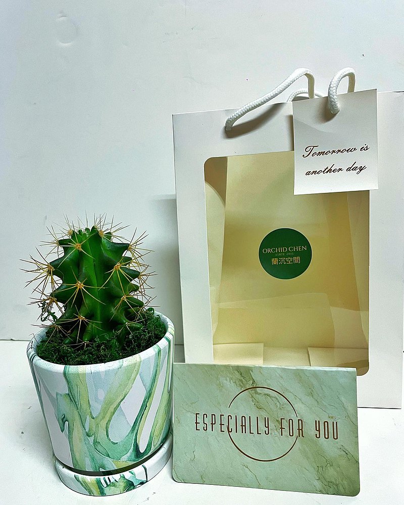 【大理石紋渲染造型】仙人掌多肉植物系列 送禮自用擺設防小人