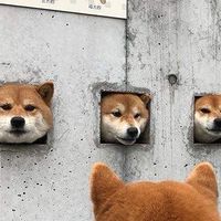 批發大賣場