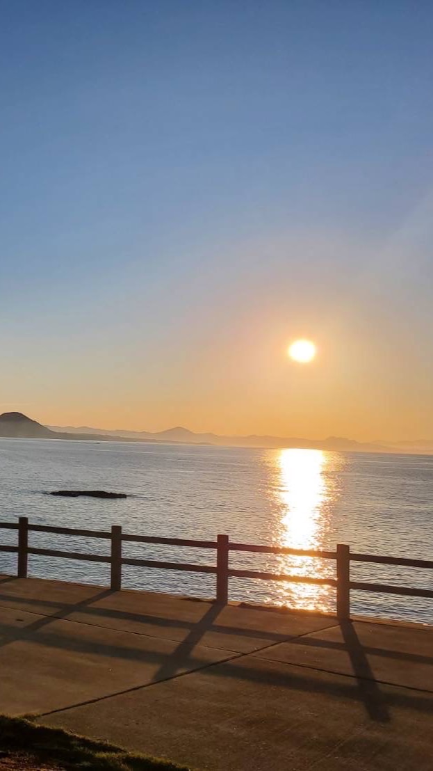 🌺てげてげ愉快な仲間たち🌺