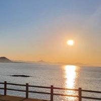 🌺てげてげ愉快な仲間たち🌺