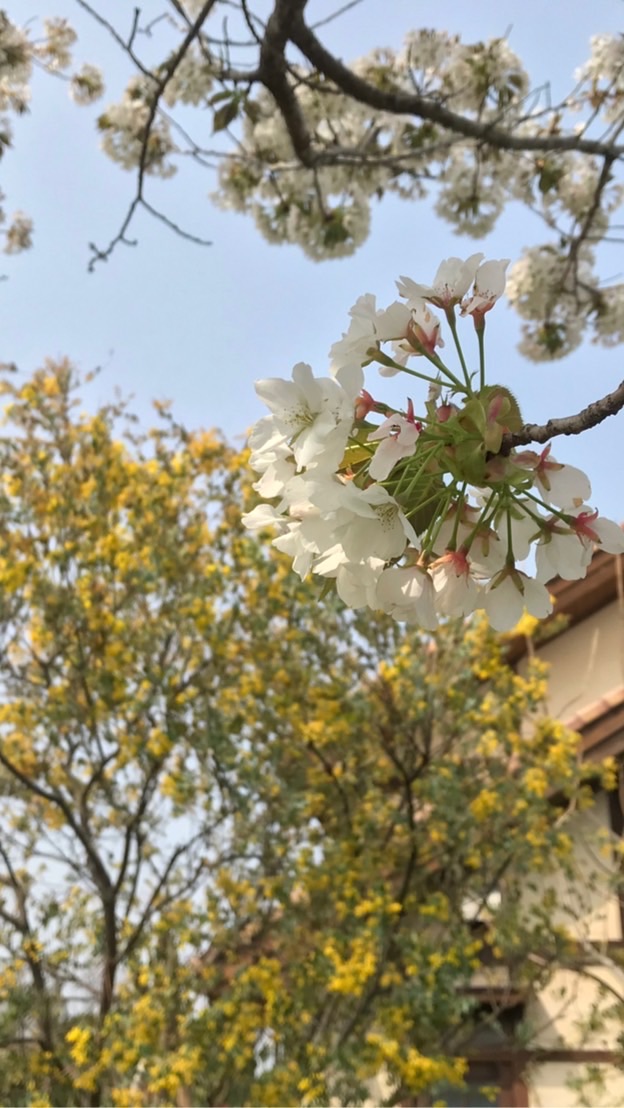 大分ママ🕊のオープンチャット