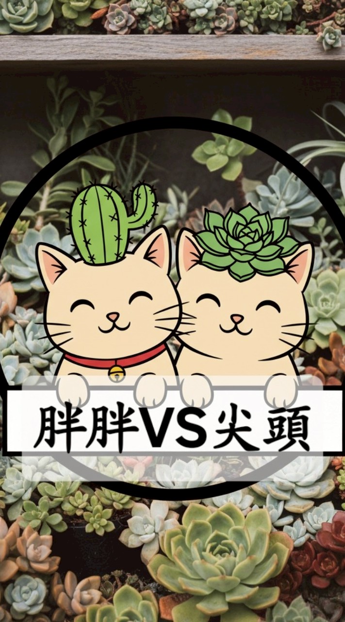 胖胖與尖頭