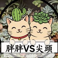 胖胖與尖頭