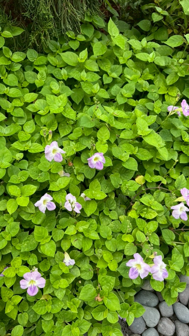 ทดสอบกลุ่ม