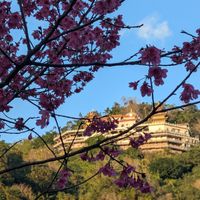 生活交流群