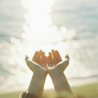 アフターフォロー🙌𓂃🤍穂の実