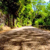 交流板:（オススメル）