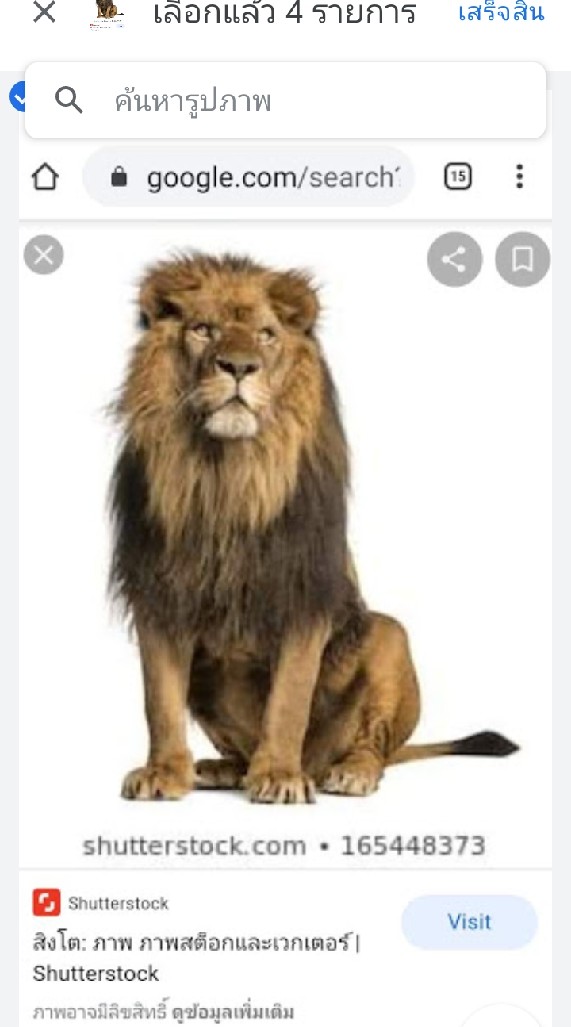 คนรักจังหวัดกระบี่