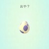 ポケモンgo  熊本