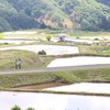 コミカレ🌱「名前/居住地」で統一してね