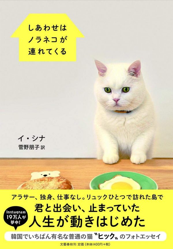 猫と一緒の小さな暮らしで幸せに 優しさに包まれるフォトエッセイ集