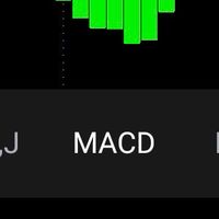 MACD指標同好會
