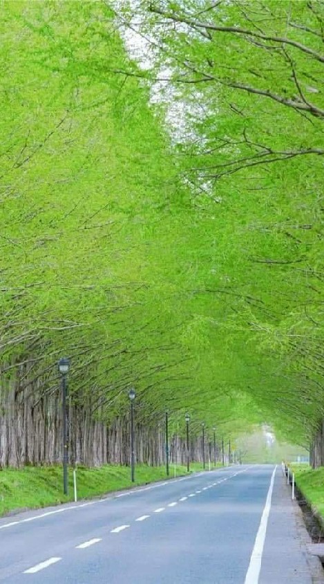 諾那華藏精舍新竹佛學園地