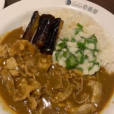 Coco壱番屋 難波千日前店 ココイチバンヤ ナンバセンニチマエテン 難波千日前 難波駅 カレー By Line Place