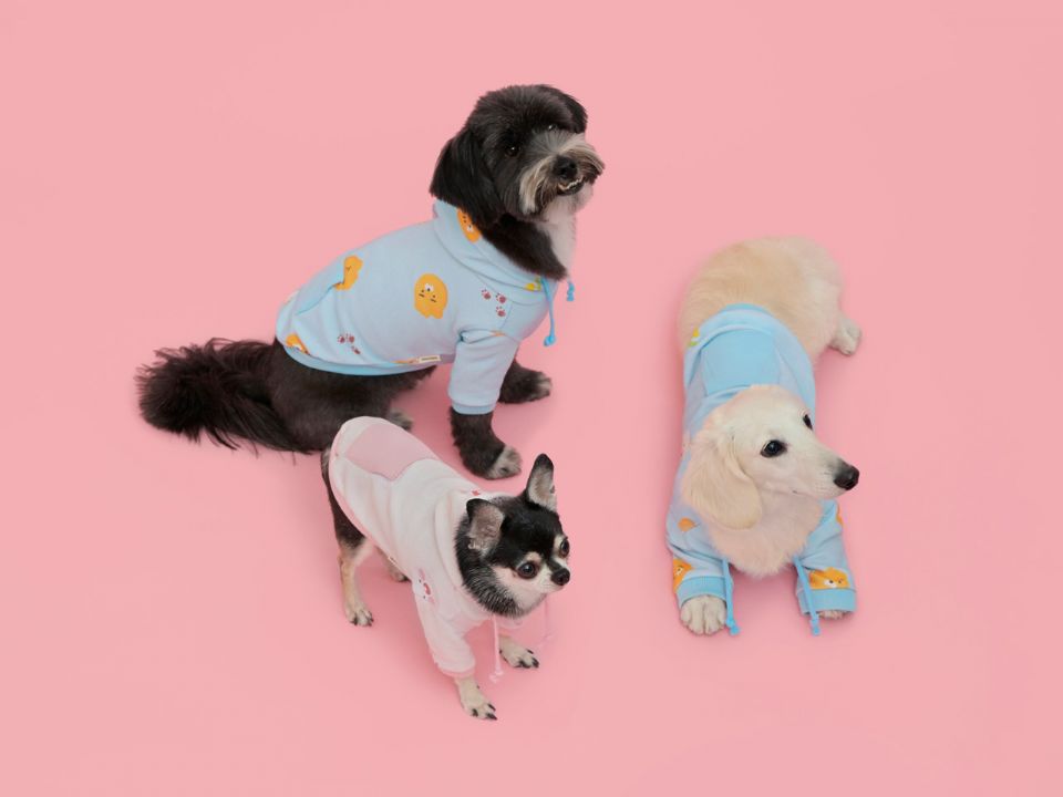 圖片來源：KAKAO FRIENDS.KR